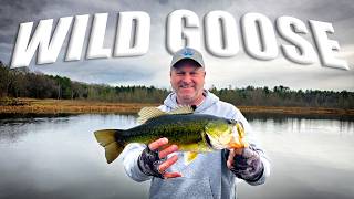 Fishing Wild Goose Lake, Polk County, WI