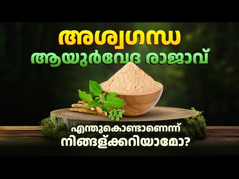 അശ്വഗന്ധ 'ആയുർവേദ രാജാവ്' എന്തുകൊണ്ടാണെന്ന് നിങ്ങള്ക്കറിയാമോ? || Ashwagandha 'King of Ayurveda'?