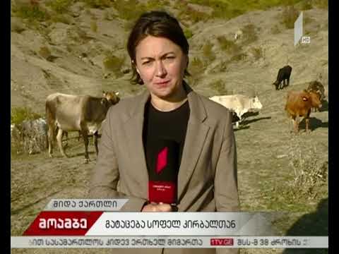 მორიგი გატაცება საოკუპაციო ზოლთან