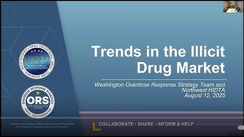 Trends in the Illicit Drug Market