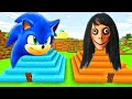 I FOUND SECRET TEMPLES OF SONIC and MOMO in MINECRAFT