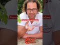 Fusarium Radicis Pomodoro Come si Manifesta 🫣🍅