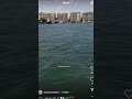 بورسعيد المعدية مبني قناة السويس بورسعيد المعدية مبني قناة السويس