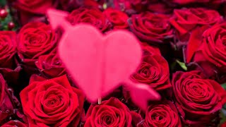 Saint-Valentin : les roses rouges sont trois fois plus chères et ne viennent pas de France