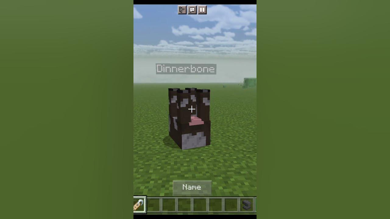 Minecraft Name tag hacks shorts YouTube