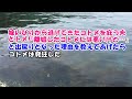 【スカッとする話】嫁いびりから逃げてきたコトメを庇う夫とトメ!「離婚したコトメには悪いけど…」と出戻りとなった理由を教えてあげたらコトメは発狂した【スカッとじゃぱん】