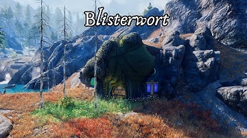 A Skyrim Room in the 