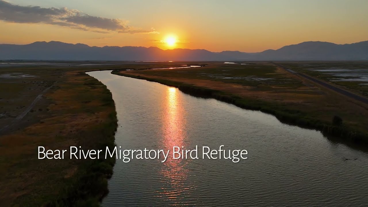 Bear River Migratory Bird Refuge Aerial