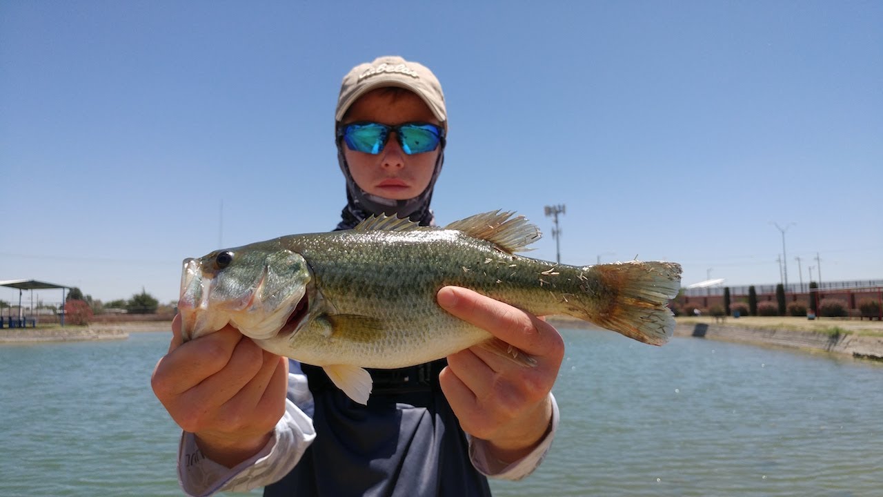 Ascarate Lake Bass Fishing