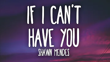 Shawn Mendes - If I Can't Have You (Lyrics)