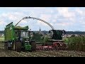 Mais Hakselen 2017 : Claas Jaguar 980 / Egide London / John Deere 8320 / 6215R