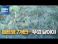 [플라스틱에 대한 착각]투명페트병 7개면 티셔츠 하나…"뚜껑 꼭 닫으세요" [MBN 종합뉴스]