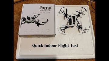 Quick Indoor Flight Test - Parrot MAMBO Fly