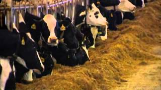 Big or Small: Does Farm Size Matter? Big or Small: Does Farm Size Matter?