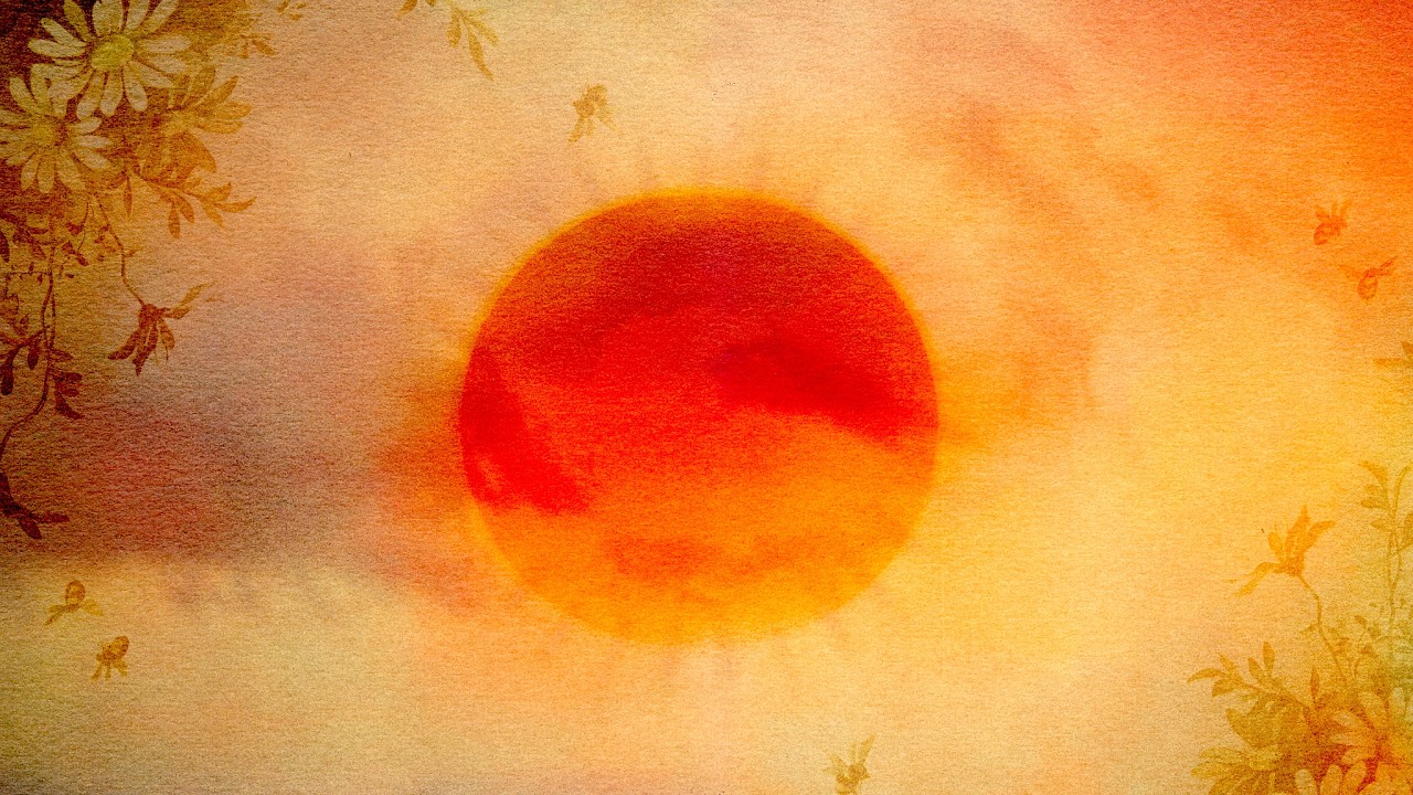 Watch Cutflowers - Sundancer (Lyric Video) on YouTube Watch Cutflowers - Sundancer (Lyric Video) on YouTube