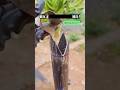 #funny #foryou #ytshorts #shortvideo #lines #youtubeshorts #automobile