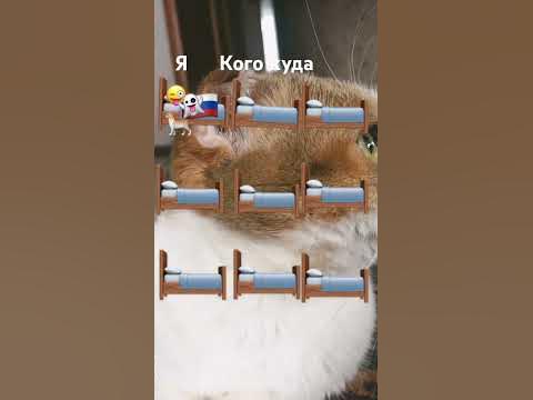 Кого куда - YouTube