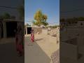 Most Beautiful Mud House in Pakistan Village #villagelife #viral #shorts