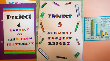 CLASS 12 ACCOUNTANCY PROJECT | 2020-2021 | SPECIFIC PROJECT | SEGMENT ANALYSIS