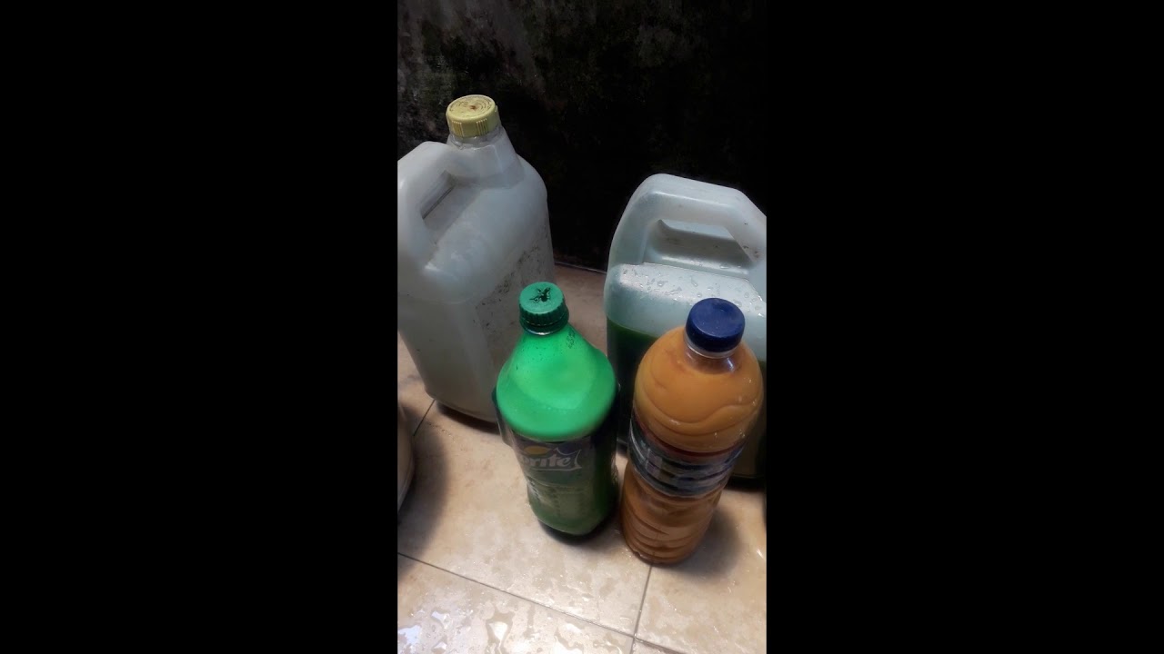 Herbal 3 Nafsu Obat Penambah Makan Herbal 3 Nafsu Obat Penambah Makan