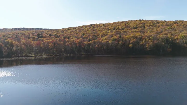 12.1.25 Lauds, Monday Morning Prayer of the Liturgy of the Hours