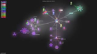 janpfeifer/gonb - Gource visualisation Net Worth
