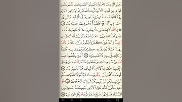 ماهر المعيقلي سورة البقرة مكتوبة صفحة 5 مصحف المدينة المنورة جودة عالية