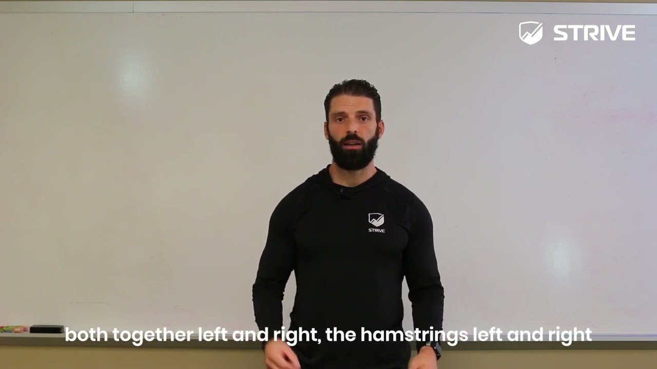 STRIVE 101: What is Muscle Distribution