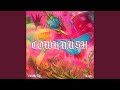 Cowkrush feat nayx