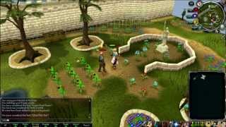 Free Quests • Pirates Treasure