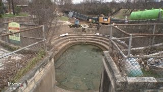 Barton Springs Pool emptied to create better environment for salamanders