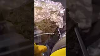 We Have Moon Rocks To Prove Landings Were Real