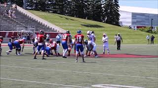 Cedar Springs Red Hawks Varsity The D Zone Football