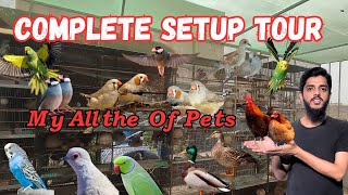 My All Of Pets | New Look Of Master Cage | Vlog After 7Months | Nk Birds by NK Birds 591 views 5 months ago 10 minutes, 32 seconds