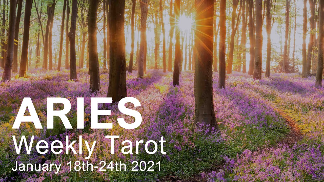 ARIES WEEKLY TAROT READING 