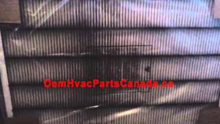 GAPCCCAR1625 Carrier Infinity Air Purifier Filter Cartridge