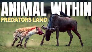 The Animal Within: Predators Land | Animal Planet Hindi | National Geographic Hindi