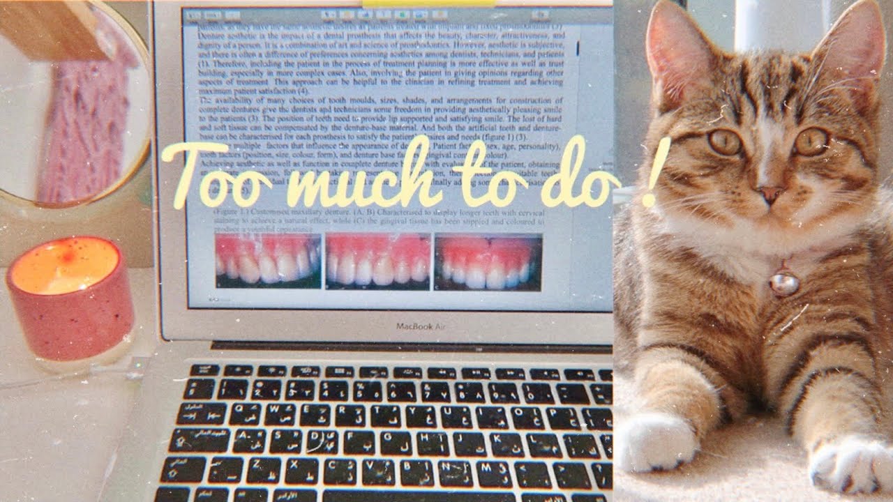 ‎الجامعة ما ترحم يا جماعة! (فلوق 10 أيام في حياتي) محاولة انجاز بحث جامعي / يوميات في لندن