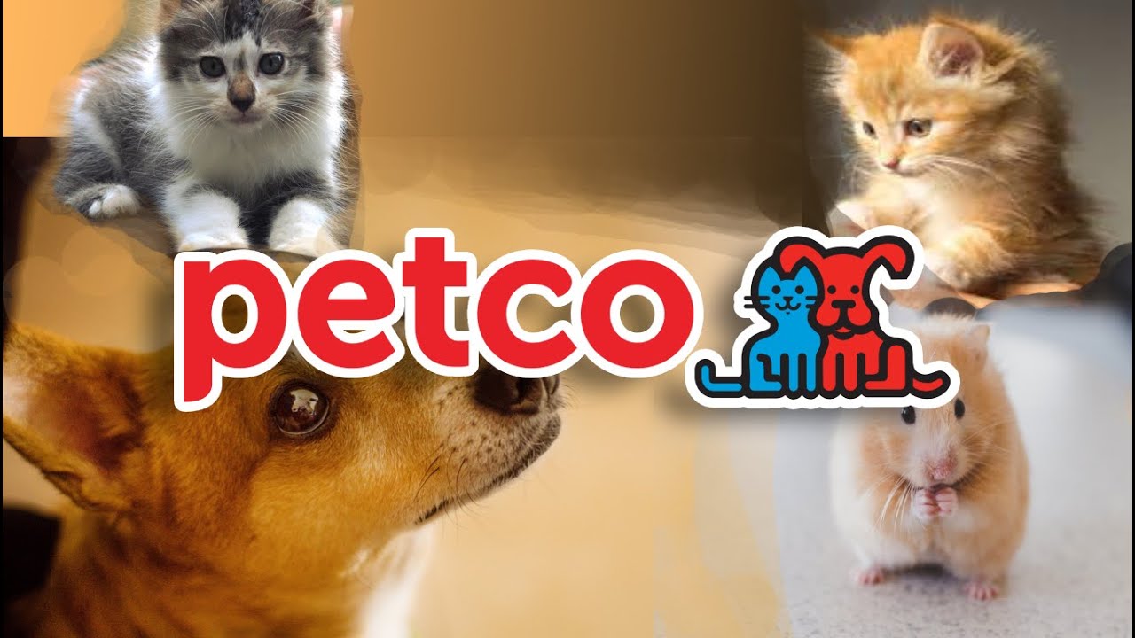 SHOP WITH ME - PETCO - CUTE ANIMALS & TOYS, CAGES, LEASHES