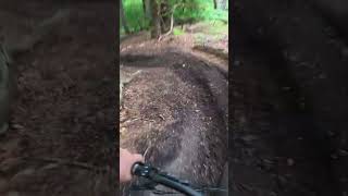 Aventon Current EXP Testrad liefert....