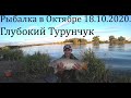 Глубокий Турунчук. Рыбалка в Октябре 18.10.2020. Ловим Сазана )