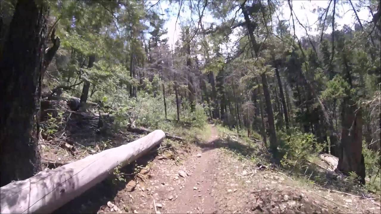 Motorcycle Trail Riding Cloudcroft NM, Rim Trail, Lincoln National