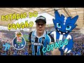 Estádio do Dragão e sua Torcida - Conhecendo O Gigante de Portugal - FC Porto - #tvlizão