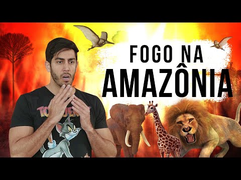Fogo na Amazônia – DESCONFINADOS (Erros no Final)