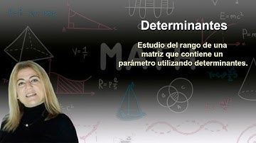 128. Estudio del rango de una matriz en función de un parámetro