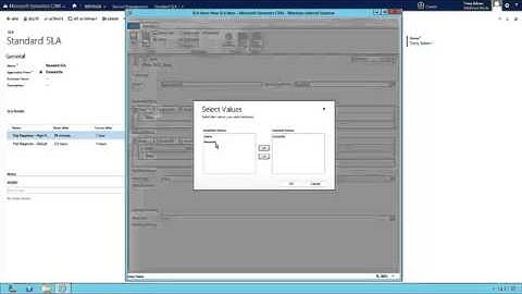 Microsoft Dynamics CRM 2013 Spring 
