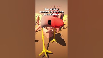 How sexual selection changes a species (evolution simulation)