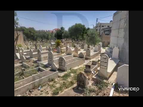 لماذا يرحلون