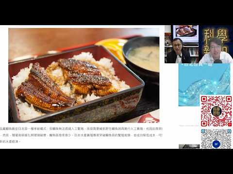 科學新知 2026-05-28 Part4: 全人工培育鰻魚技術漸趨成熟，鰻魚苗培養這最大難關終於克服。| 主持： 陳志宏 博士 & 台長 梁錦祥