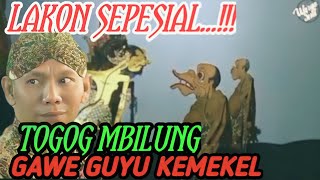 gayeng poll❗ togog mbilung ndagel entek-entek,an ‼️ dalang seno nugroho